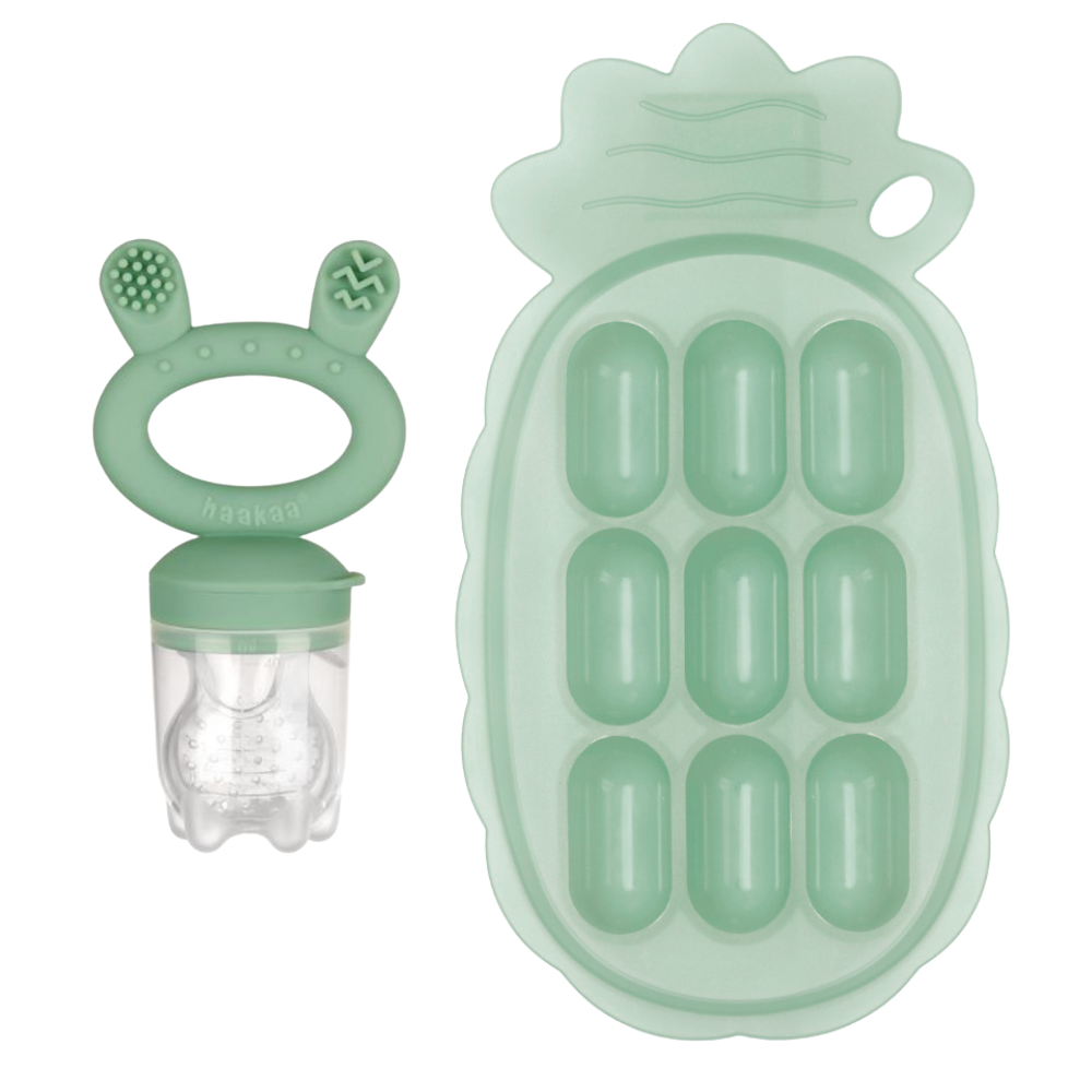 Silicone Pineapple Tray & Food Feeder with Cover Set
